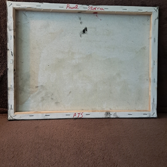 Stary Sky Northen Lights Mountains Dark And Cold Bob Ross Insired Hand Painted - Picture 4 of 4